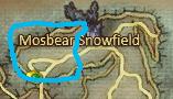 Mosbear Snowfield